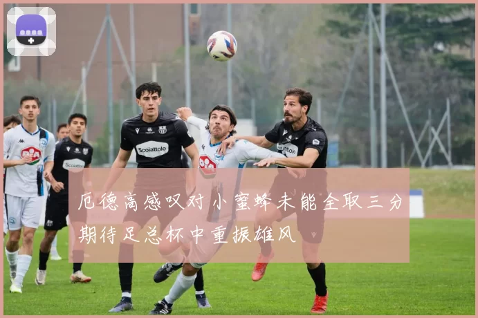 厄德高感叹对小蜜蜂未能全取三分期待足总杯中重振雄风